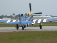 Mustang